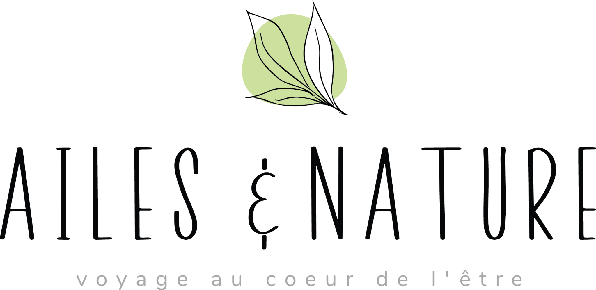Logo 2 Ailes et Nature