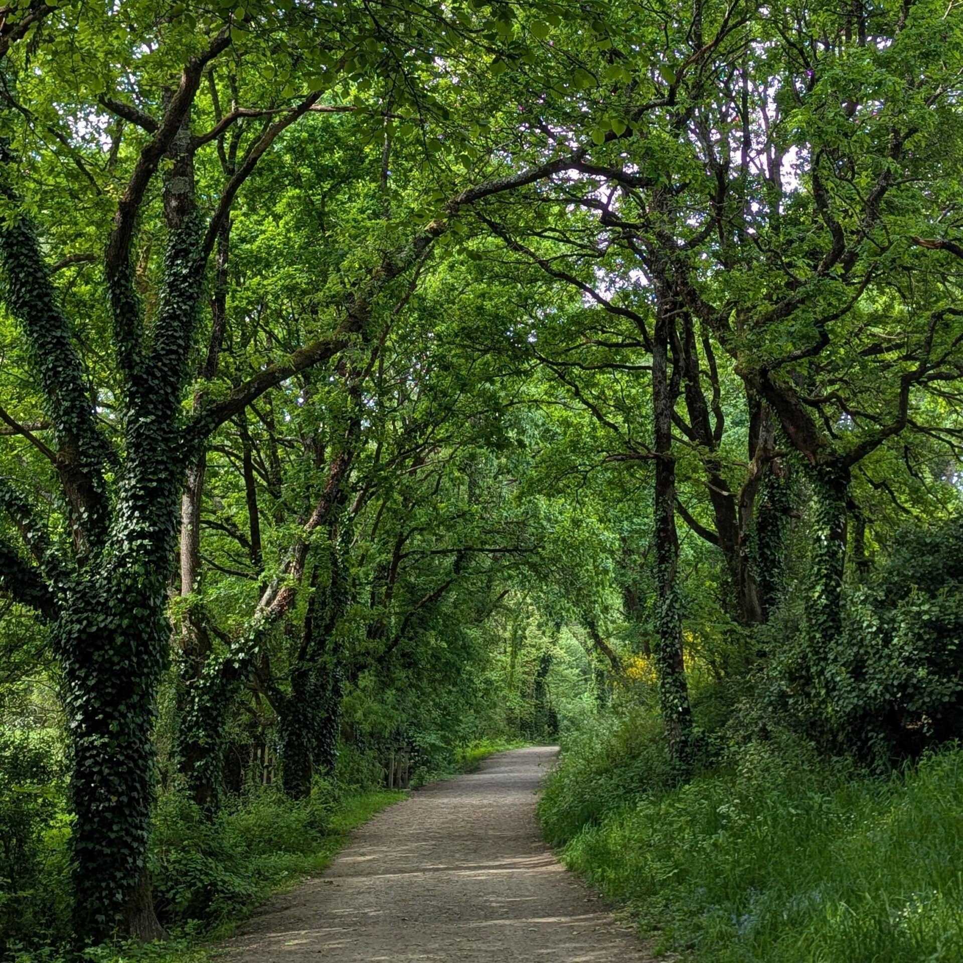 Accueil BERSON 9 PXL 20250425 151601115.PORTRAIT.ORIGINAL 1 edited scaled 1