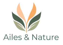 Logo 2026 1